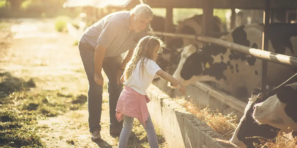 Rencontre dans une ferme en vacances à la campagne avec VTF