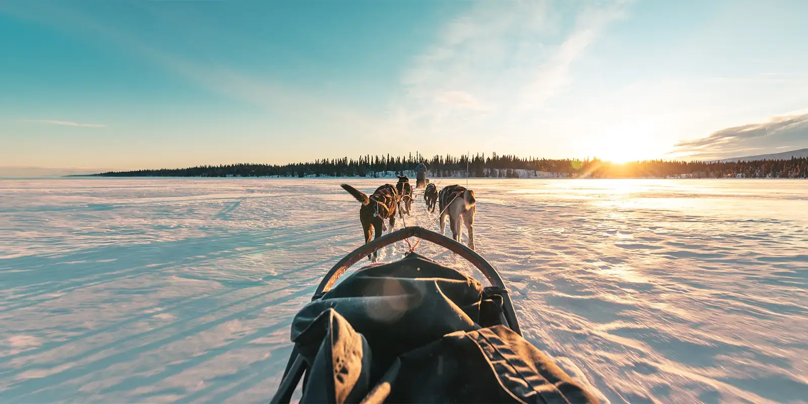 Non skieur profite des vacances en station en faisant une balade en chiens de traineau