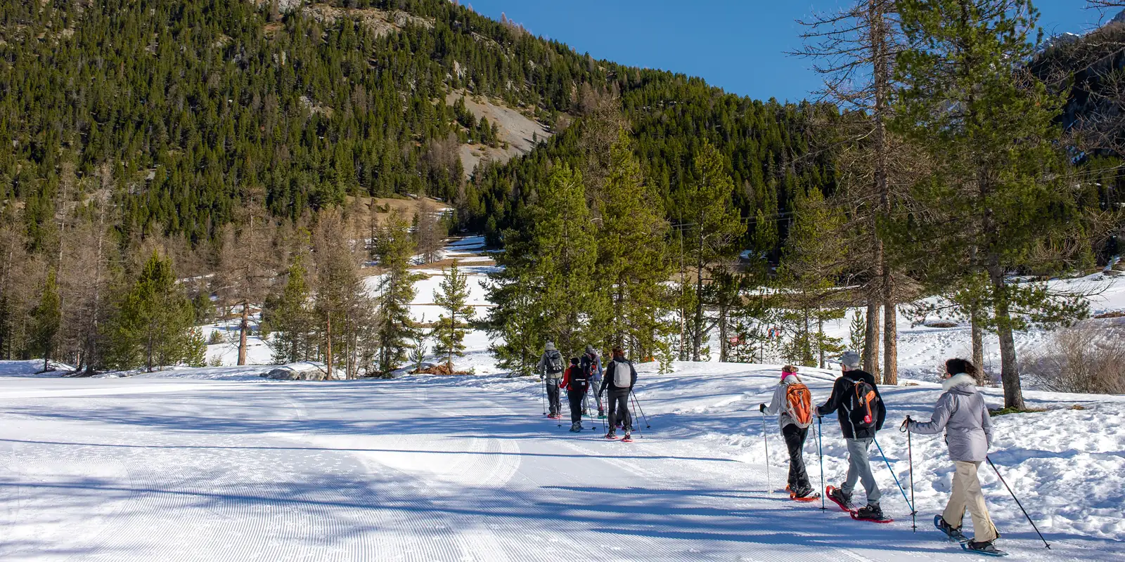 Randonneurs en raquettes dans la vallée d'Arvieux en Queyras