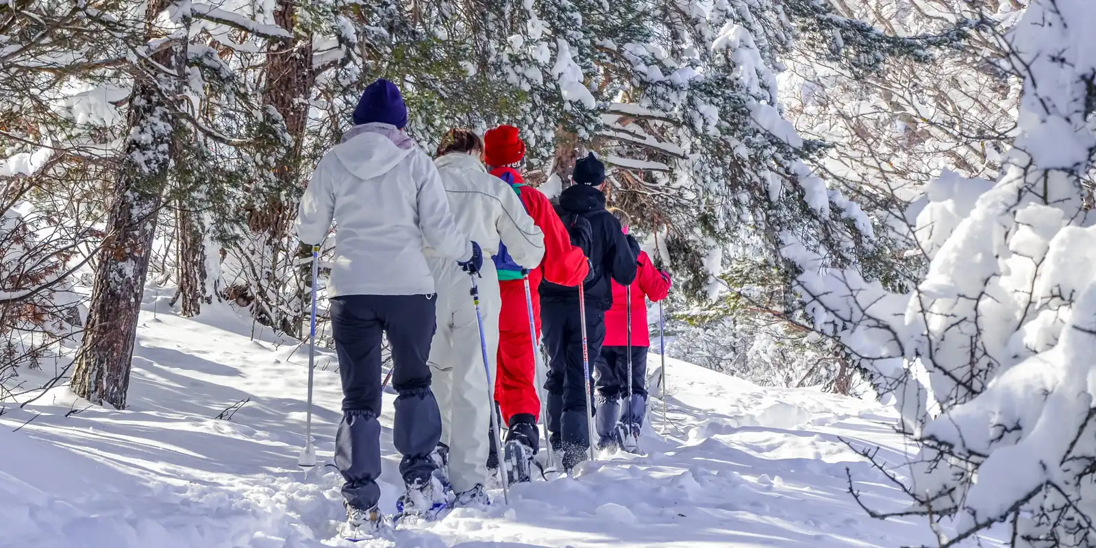Famille en randonnée raquettes dans une forêt de sapins enneigée