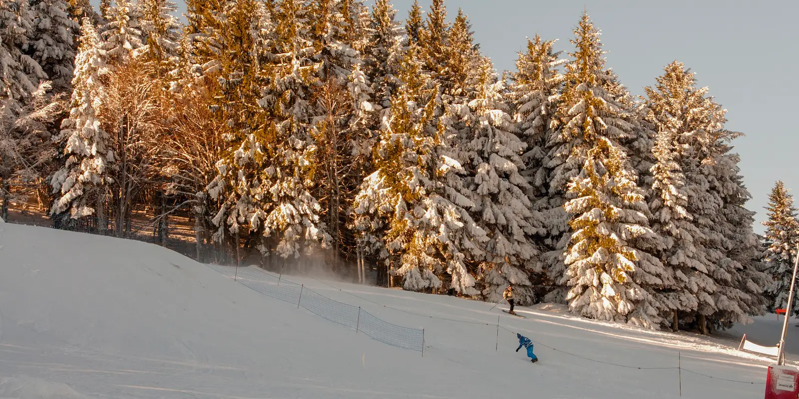 Piste de ski bordée de sapins enneigés dans les Vosges