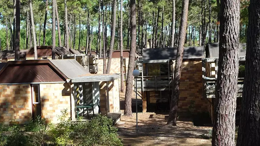 VTF Carcans Bruyères