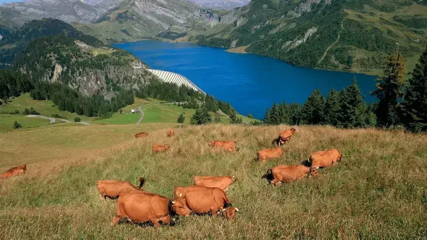 Lac Roselend Beaufort