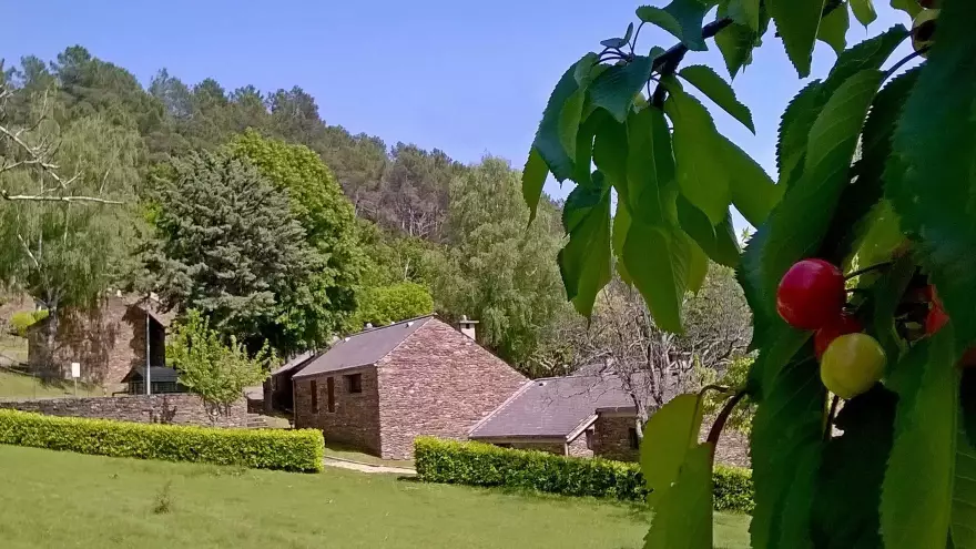 Location à Saint Privat de Vallongue