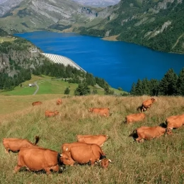 Lac Roselend Beaufort