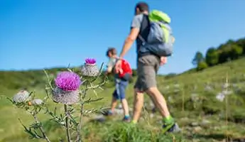 Mountain holiday villages