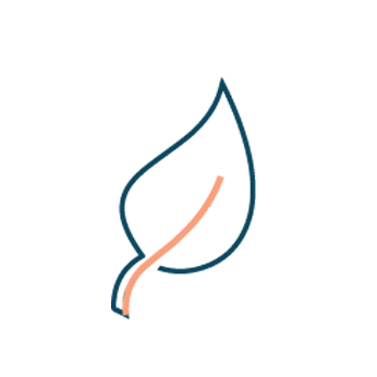 Sustainable tourism & commitments