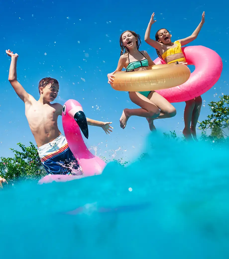 Limited-Time Summer Flash Sale Offer